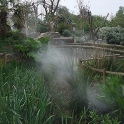 Landscaping with Fog